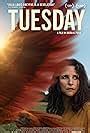 imdb tuesday